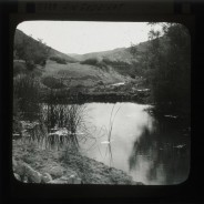 Böhl glass slide 58./1327